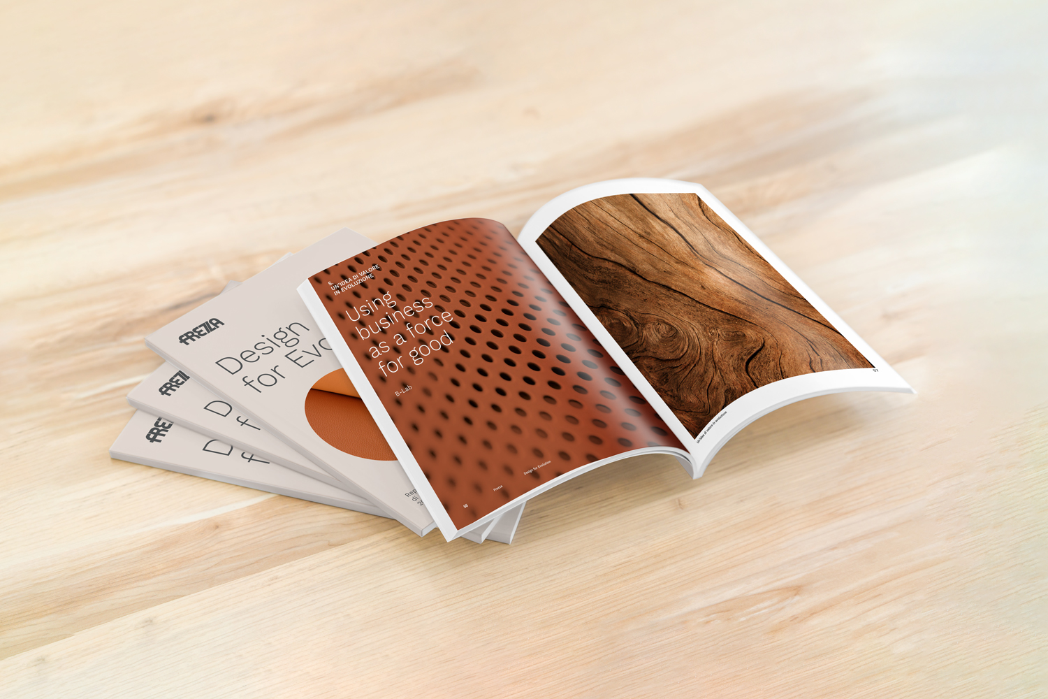 Design for Evolution: our first Sustainability Report